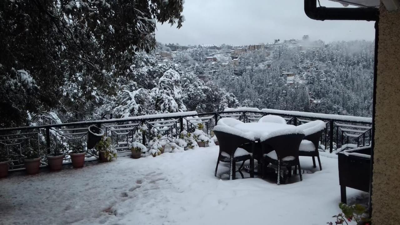 The Oaktree House Hotell Shimla Eksteriør bilde