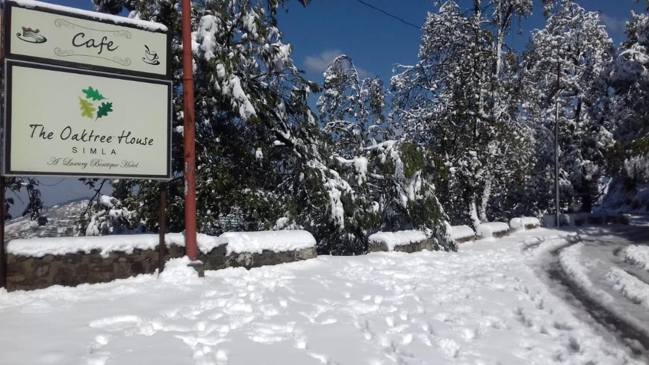 The Oaktree House Hotell Shimla Eksteriør bilde