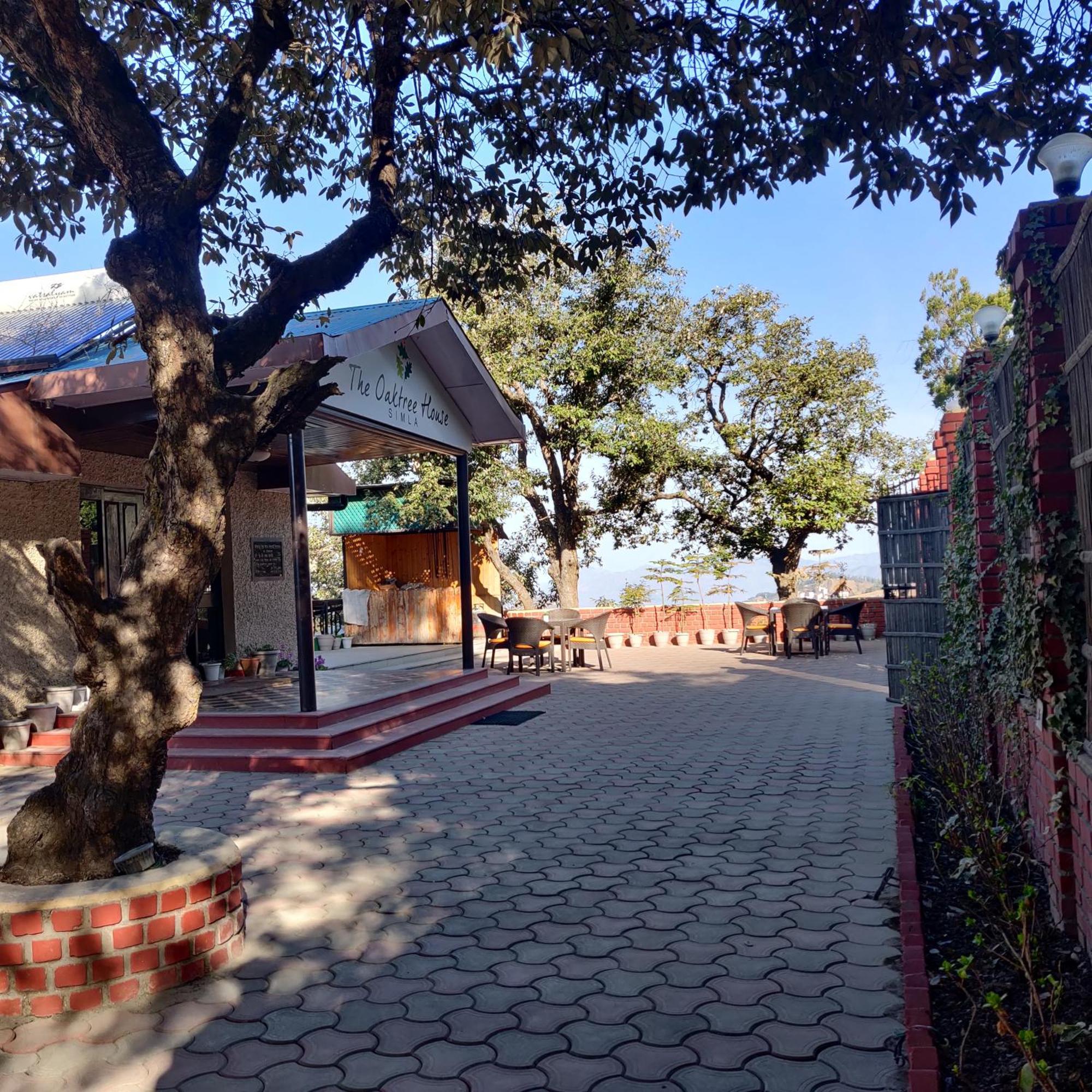The Oaktree House Hotell Shimla Eksteriør bilde